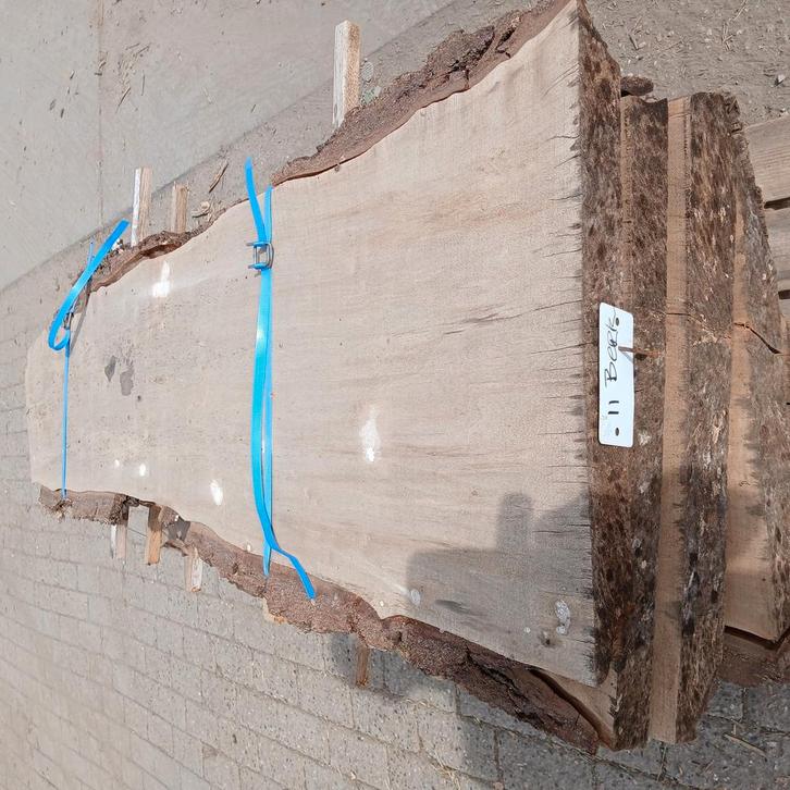 Stamdelen, planken, schaaldeel berk, Doe-het-zelf en Verbouw, Hout en Planken, Zo goed als nieuw, Plank, Overige houtsoorten, Minder dan 200 cm