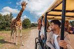 Beekse bergen 3 dagtickets geldig tm 31 december, Drie personen of meer, Ticket of Toegangskaart