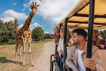 Beekse bergen 3 dagtickets geldig tm 31 december beschikbaar voor biedingen