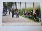 Harderwijk Hondenkar Weg naar Hierden 1905, Ophalen of Verzenden, Voor 1920, Gelopen, Gelderland