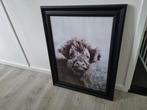 Zwarte lijst met poster, Ophalen, Minder dan 50 cm, Gebruikt, Minder dan 50 cm