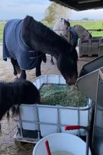 Hooibak voor paarden,  shetlanders / kleine pony’s, Dieren en Toebehoren, Ophalen