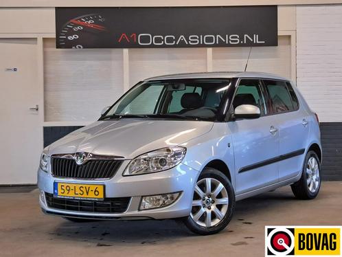 Skoda Fabia 1.2 TSI Ambition (bj 2010), Auto's, Skoda, Bedrijf, Te koop, Fabia, ABS, Airbags, Airconditioning, Alarm, Boordcomputer