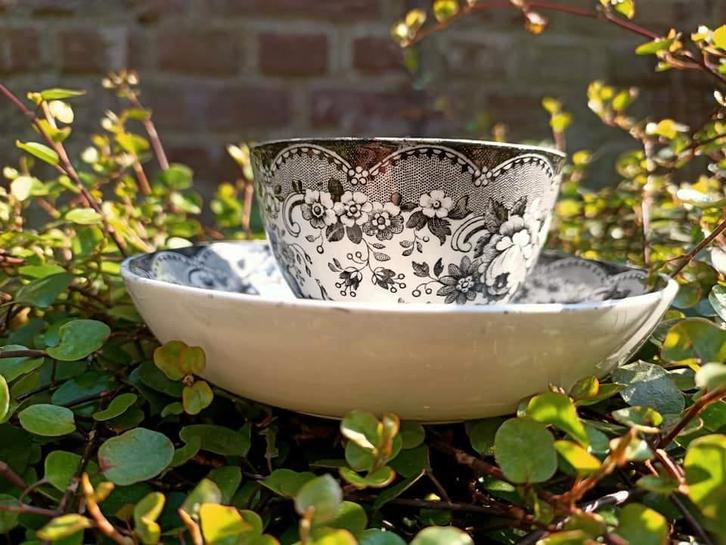 Kommetje met schoteltje 'bloempot' zwart Petrus Regout 1860, Antiek en Kunst, Antiek | Keramiek en Aardewerk, Ophalen of Verzenden