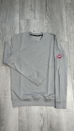 CANADA GOOSE TRUI, Ophalen of Verzenden, Zo goed als nieuw, Overige maten, Grijs