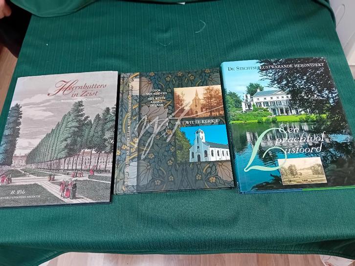 Zeist geschiedenis., Boeken, Geschiedenis | Stad en Regio, Zo goed als nieuw, Ophalen of Verzenden