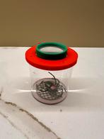 Spin in onderzoekspotje, Ophalen of Verzenden, Gebruikt, Ontdekken, Met licht