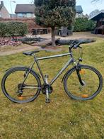 PEGASUS AVANTI mountainbike, Ophalen, Zo goed als nieuw, 26 inch of meer, Versnellingen