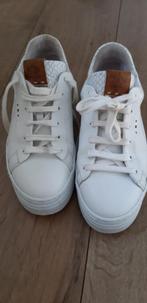 Aqa witte sneakers maat 38, Kleding | Dames, Schoenen, Wit, AQA, Ophalen of Verzenden, Sneakers of Gympen