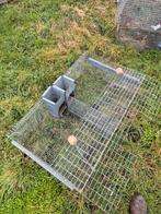 Hokken 10 stuks, Kooi, Hamster, Ophalen, Minder dan 60 cm