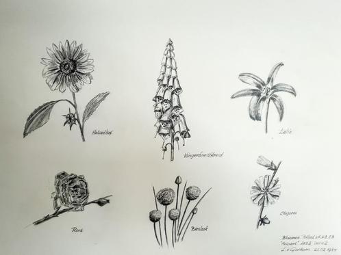 Louis van Gorkum - bloemenstudie II 1984 46x57, Antiek en Kunst, Kunst | Schilderijen | Klassiek, Ophalen of Verzenden