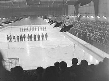 Gezocht ijshockey speldje en badge IJsvogels Amsterdam beschikbaar voor biedingen