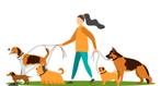 Honden opvang /uitlaatservice, Diensten en Vakmensen, Dieren | Honden | Verzorging, Oppas en Les
