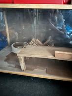 Hout kooi, Dieren en Toebehoren, Overige typen, Minder dan 75 cm, Zo goed als nieuw, Ophalen