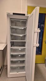 hoge Vriezer lebherr  LGex 3410 - 310 L inhoud, Gebruikt, 160 cm of meer, Ophalen, Vrieskast