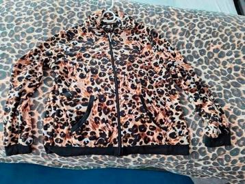 Leuk panterprint vest zachte stof L zgan 42 44 + broek beschikbaar voor biedingen