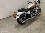 Harley Davidson XL 1200T Sportster SuperLow, Motoren, Chopper, Bedrijf, 1202 cc, Meer dan 35 kW