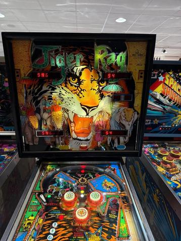 Tiger Rag Flipperkast - Zeldzaam! beschikbaar voor biedingen