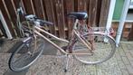 damesfiets, Ophalen, Gebruikt, Versnellingen, 56 cm of meer