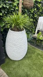 Bloempot bak 80 cm hoog wit kunststof steeneffect, Ophalen, Kunststof, Minder dan 60 cm, Rond