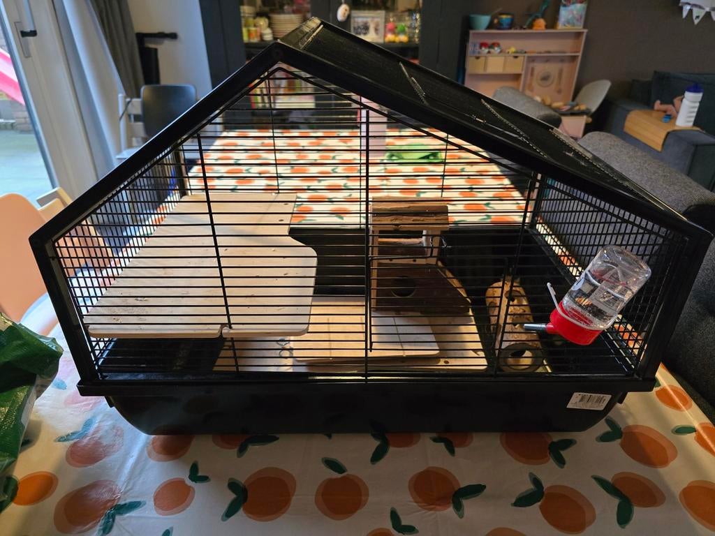 Dwerghamsterkooi, Kooi, Minder dan 75 cm, Hamster, Ophalen