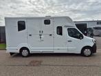 Renault Master MTM paardenwagen hengsten uitvoering dubbele, Dieren en Toebehoren, Paarden en Pony's | Trailers en Aanhangwagens