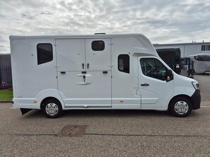 Renault Master MTM paardenwagen hengsten uitvoering dubbele, Dieren en Toebehoren, Paarden en Pony's | Trailers en Aanhangwagens