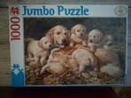 Puzzel 1000 stukjes - Golden Retriever pups, Ophalen of Verzenden