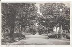 Zeist, Verlengde Slotlaan met rechts Huize Pasadena 1931, Ophalen of Verzenden, 1920 tot 1940, Gelopen, Utrecht