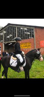 Bijrijder gezocht voor twee leuke pony’s, Ruiter of Bijrijder