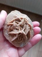 Woestijn roosje, Verzamelen, Mineralen en Fossielen, Ophalen of Verzenden