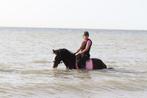 Prachtige Tinker merrie! 🌟, Dieren en Toebehoren, Minder dan 160 cm, Ruin, Zadelmak, 3 tot 6 jaar
