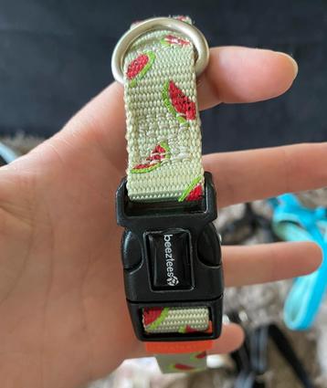 Beeztees Honden Halsband beschikbaar voor biedingen