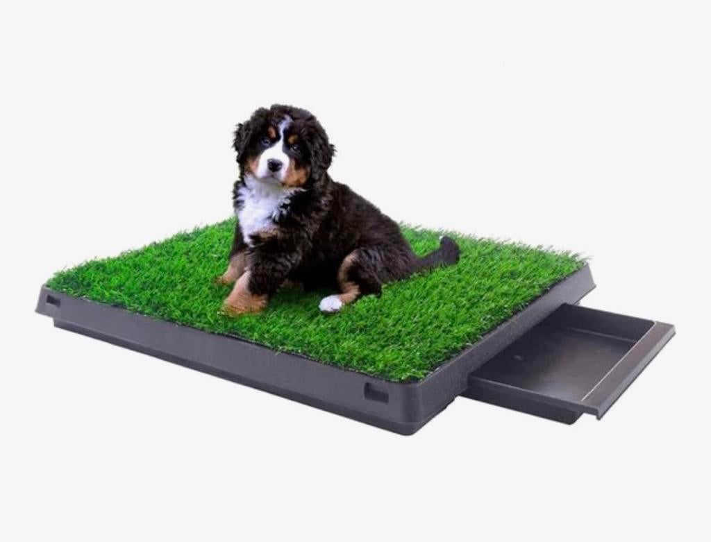 Honden toilet met 2 grasmatten, Ophalen of Verzenden, Zo goed als nieuw