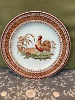 Bord Petrus Regout, haan (110525), Ophalen of Verzenden