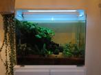 Aquarium SuperFish Home + Onderkast, Dieren en Toebehoren, Ophalen, Gebruikt, Leeg aquarium