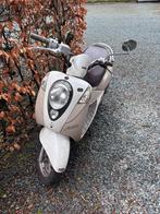 Sym mio 50, Gebruikt, Maximaal 45 km/u, Benzine, 50 cc