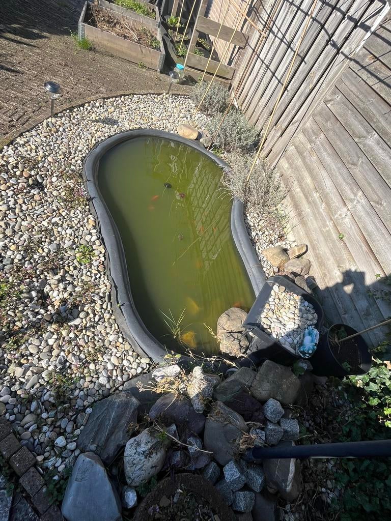 Voorgevormde vijver, Tuin en Terras, Vijvers, Ophalen, Gebruikt