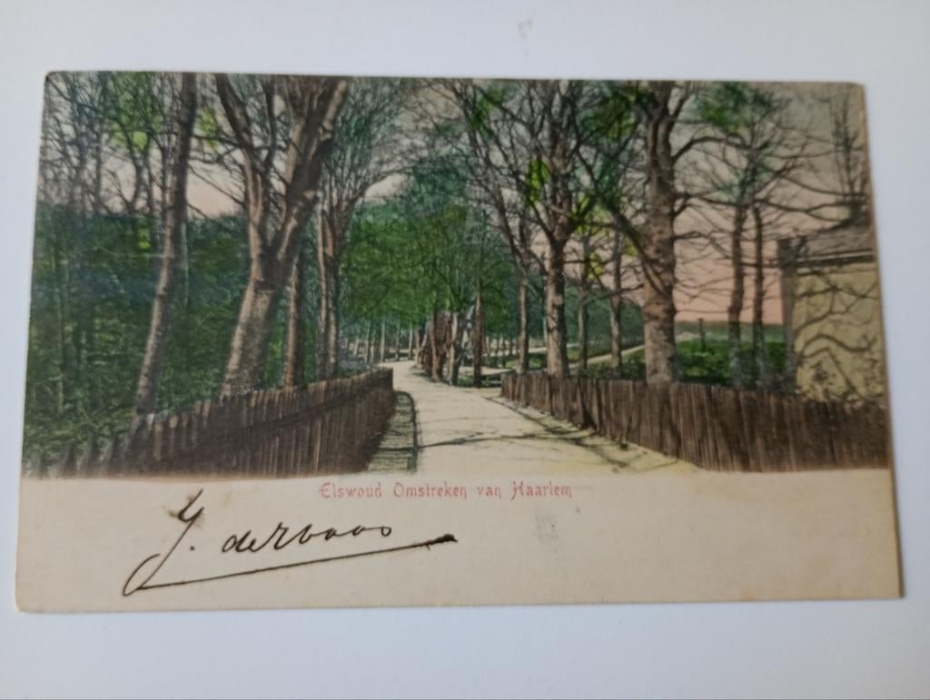 Haarlem Elswoud 1904, Ophalen of Verzenden, Voor 1920, Gelopen, Noord-Holland