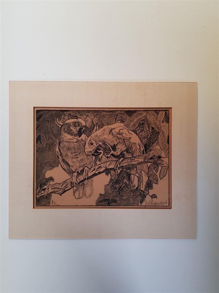 J. van Dieperink, tekening kakatoes, gesigneerd., Antiek en Kunst, Ophalen of Verzenden