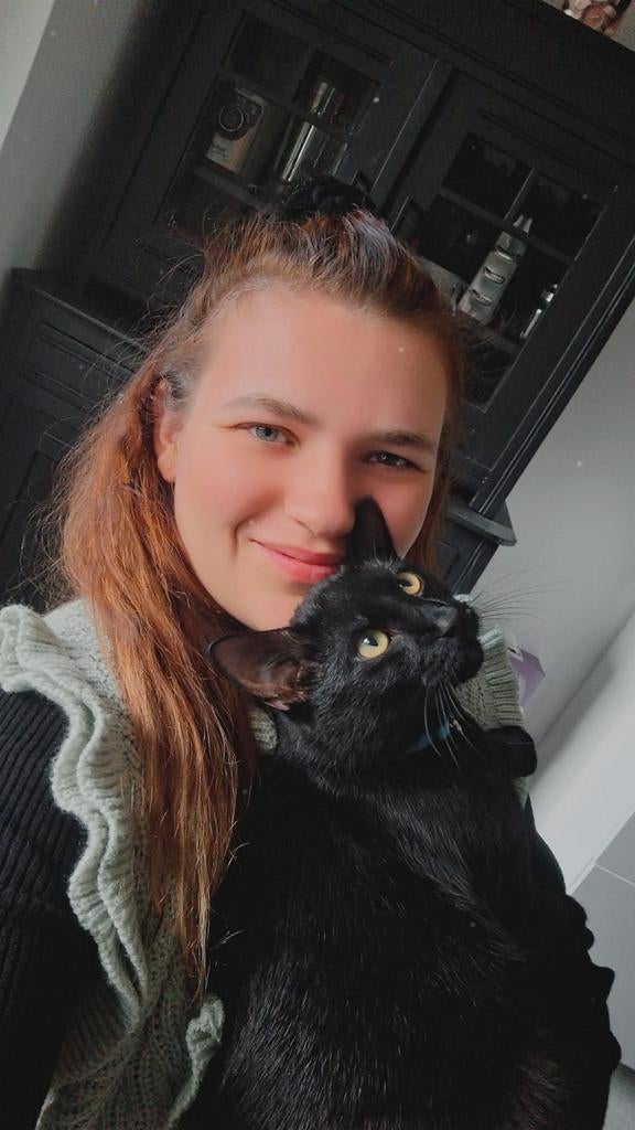 Klein lief hondje gezocht, (kan goed met kat), Ophalen of Verzenden, Hond