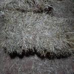 kleine balen hooi oogst 2025, Dieren en Toebehoren, Ophalen, Vee