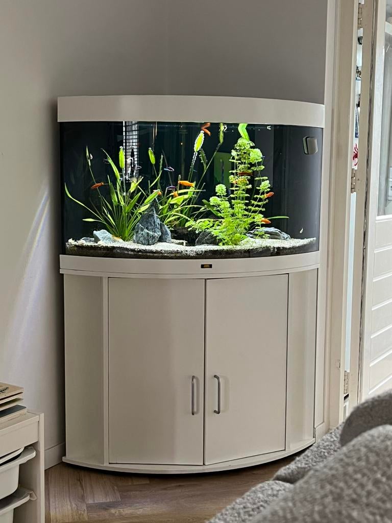 Compleet aquarium Juwel 190 trigon, Ophalen, Inclusief vissen, Juwel, Gevuld zoetwateraquarium