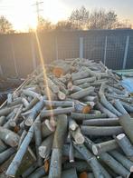 Haardhout op stam: Elzenhout, 3 tot 6 m³, Ophalen, Elzenhout, Stammen