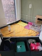 Cavia/knaagdier hok/kooi voor binnen, Dieren en Toebehoren, Ophalen, 60 tot 90 cm, Hok, Cavia