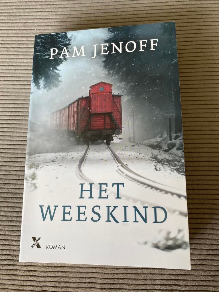 Het weeskind - Pam Jenoff, Boeken, Romans, Zo goed als nieuw, Ophalen of Verzenden