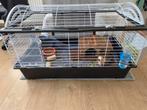 Cavia kooi, Dieren en Toebehoren, Kooi, 110 cm of meer, Zo goed als nieuw, Cavia