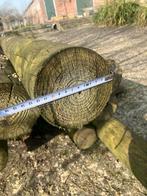 Oude meerpalen te koop, Gebruikt, Balk, Overige houtsoorten, Ophalen