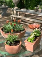 Terracotta schaal ciotola guilio | Terracotta Bloempot, Rond, Nieuw, Ophalen of Verzenden, Balkon