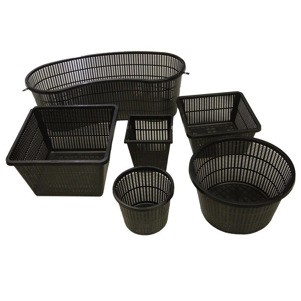 grote voorraad plant manden, 24 uur service, Tuin en Terras, Planten | Tuinplanten, Ophalen of Verzenden, Overige soorten, Halfschaduw